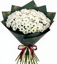 Букет цветов из:  Хризантемы #REPLACE_PRED# Первомайском Республика Крым