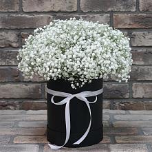 Цветочная композиция из Гипсофила в шляпной коробке в Первомайском Республика Крым