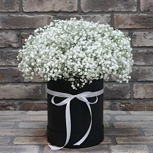 Цветочная композиция из Гипсофила в шляпной коробке в Первомайском Республика Крым