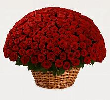 Премиум букет из: Розы в Первомайском Республика Крым